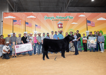 Reserve Grand Champion Female