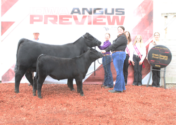 Grand Champion Owned Cow-calf Pair