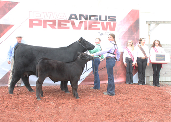 Reserve Grand Champion Owned Cow-calf Pair