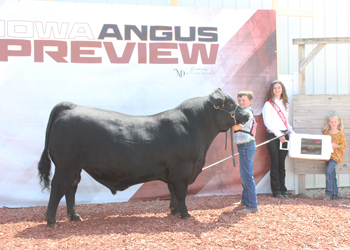 Reserve Grand Champion PGS Bull