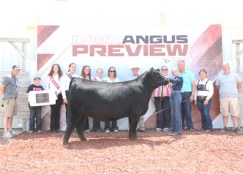 Reserve Grand Champion Owned Female