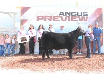 Reserve Grand Champion Steer