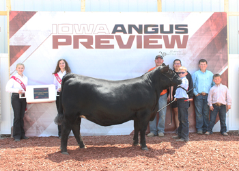 Reserve Grand Champion PGS Female