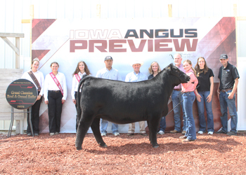 Grand Champion Bred-and-owned Female