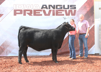 Bred-and-owned Reserve Intermediate Champion Heifer