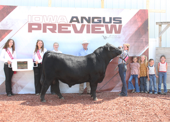 Reserve Grand Champion Bred-and-owned Bull