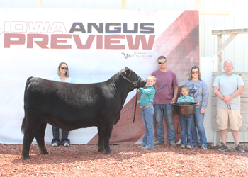 Owned Junior Champion Heifer--division 1