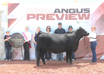 Champion Iowa Futurity Heifer