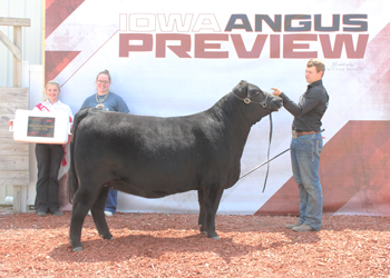 Reserve Champion Iowa Futurity Heifer