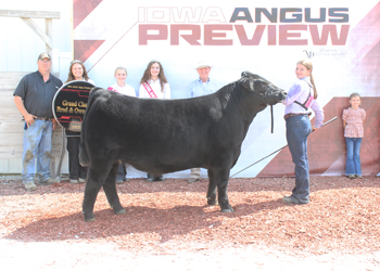 Grand Champion Bred-and-owned Steer