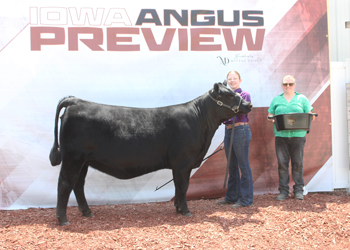 Owned Intermediate Champion Heifer