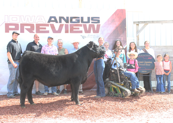 Grand Champion Steer