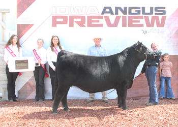 Reserve Grand Champion Bred-and-owned Steer