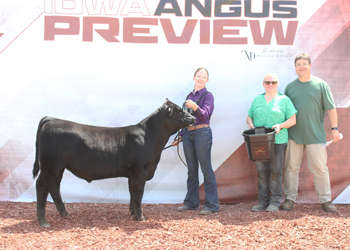 Bred-and-owned Reserve Junior Bull Calf Champion