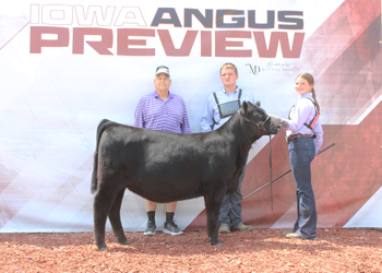Owned Senior Heifer Calf Champion
