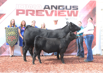 Grand Champion Cow-calf Pair