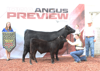 Reserve Grand Champion Cow-calf Pair