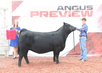 Reserve Senior Champion Female