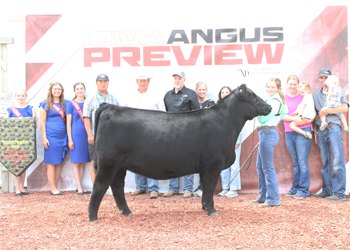 Reserve Grand Champion Female