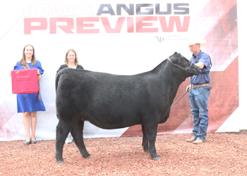 Reserve Late Junior Champion Heifer