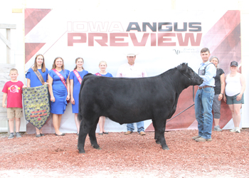 Reserve Grand Champion Steer