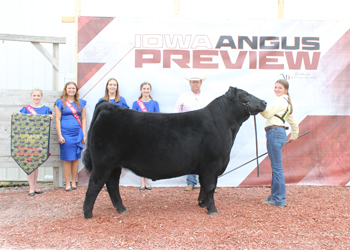 Grand Champion Steer
