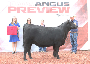 Reserve Intermediate Champion Heifer