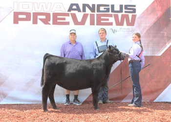 Senior Heifer Calf Champion