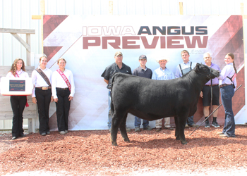 Intermediate Champion Heifer