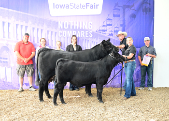 Reserve Grand Champion Cow-calf Pair