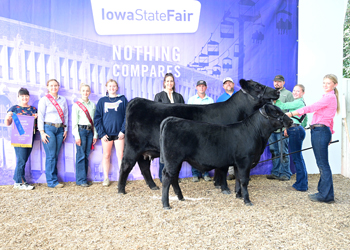 Grand Champion Cow-calf Pair