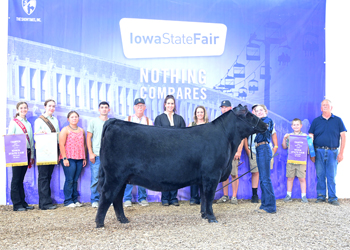 Reserve Grand Champion Female