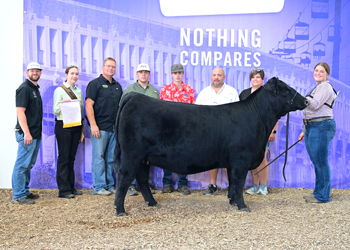Reserve Junior Champion Heifer