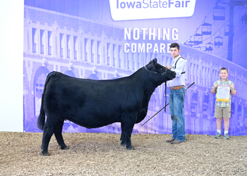 Reserve Senior Champion Female