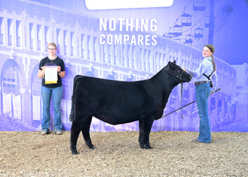 Reserve Senior Heifer Calf Champion