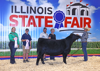 Reserve Early Junior Champion Heifer