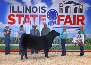 Reserve Intermediate Champion Heifer