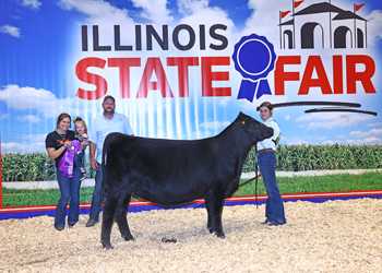 Early Junior Champion Heifer