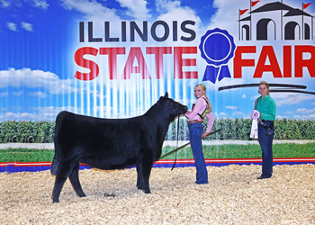 Reserve Late Junior Champion Heifer