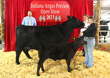 Reserve Grand Champion Cow-calf Pair