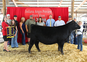 Reserve Grand Champion Owned Female