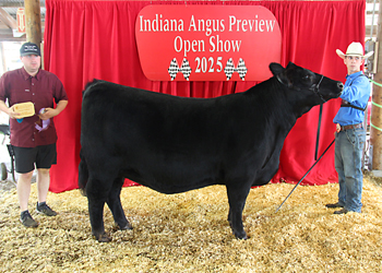 Owned Reserve Senior Champion Female