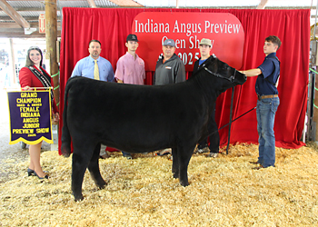 Grand Champion Bred-and-owned Female