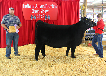 Bred-and-owned Reserve Intermediate Champion Heifer