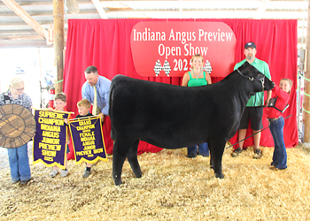 Grand Champion Owned Female