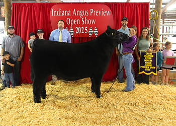 Grand Champion Steer