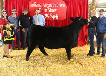 Reserve Grand Champion Bred-and-owned Female
