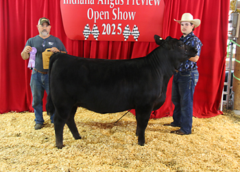 Bred-and-owned Reserve Late Junior Champion Heifer
