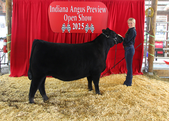 Owned Early Junior Champion Heifer