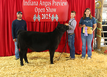 Bred-and-owned Reserve Senior Heifer Calf Champion